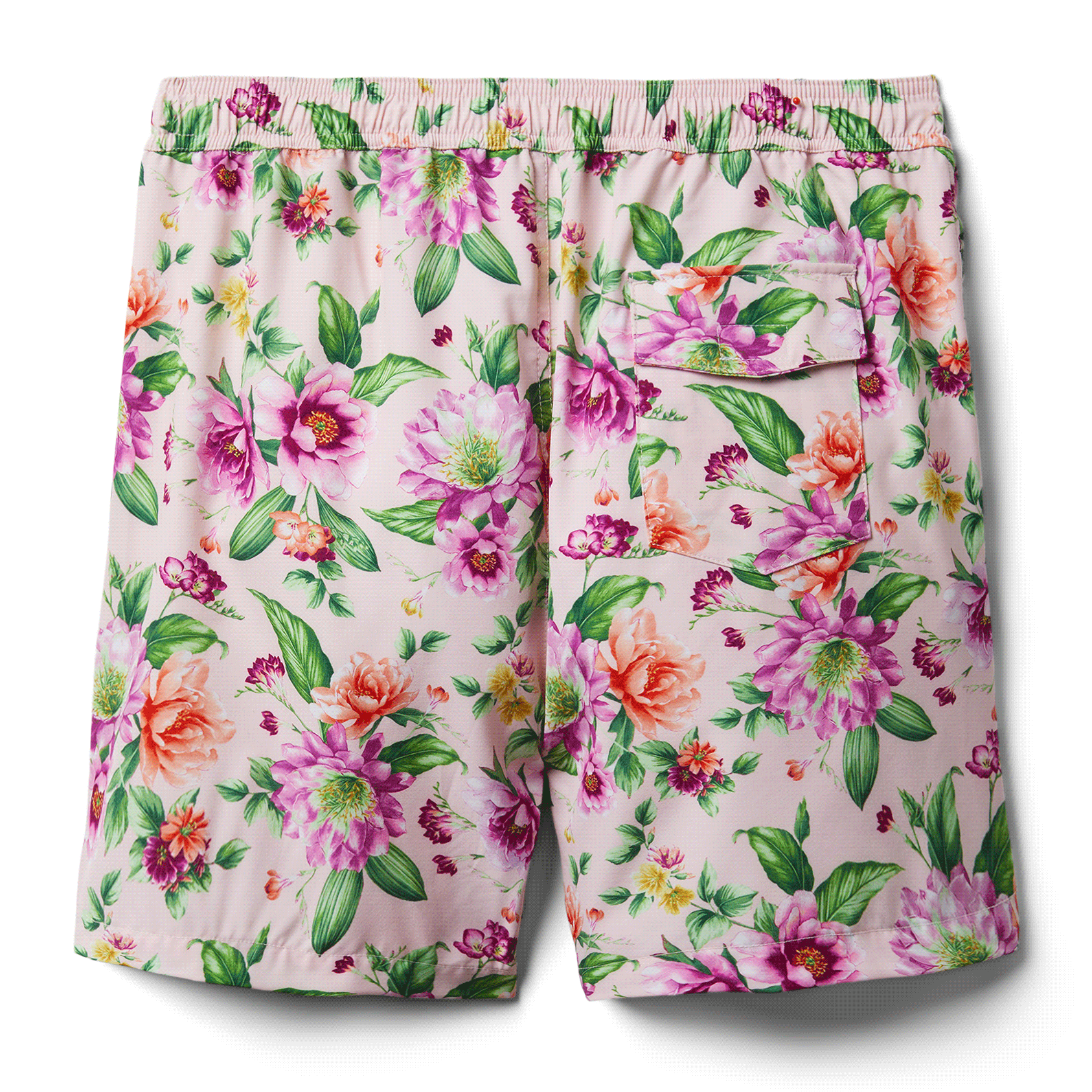 Tangerine Dream Floral Shorts (S-3XL) – Aspyn and Ivy
